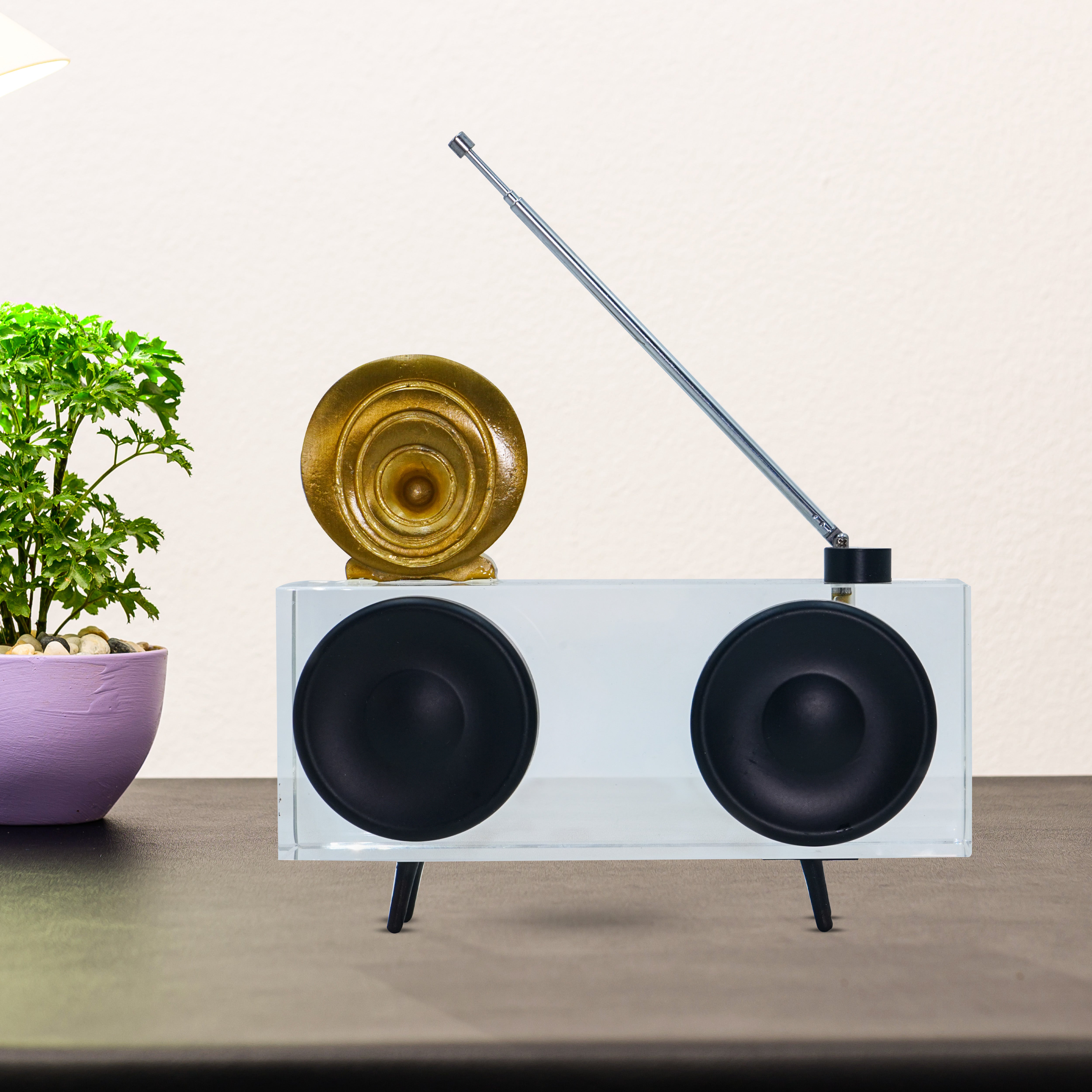 Premium quality Glass Radio