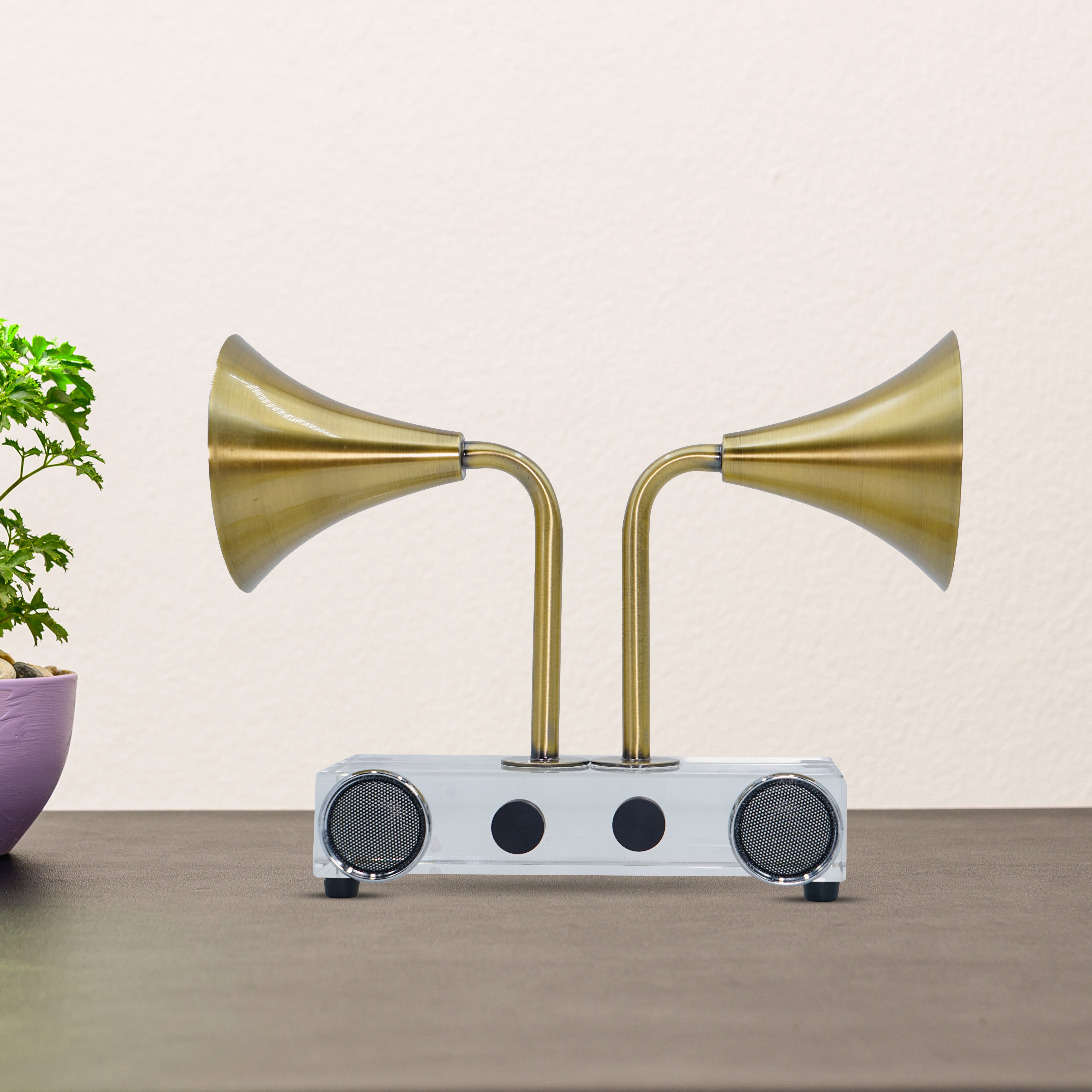 Vintage Crystal Radio Speaker