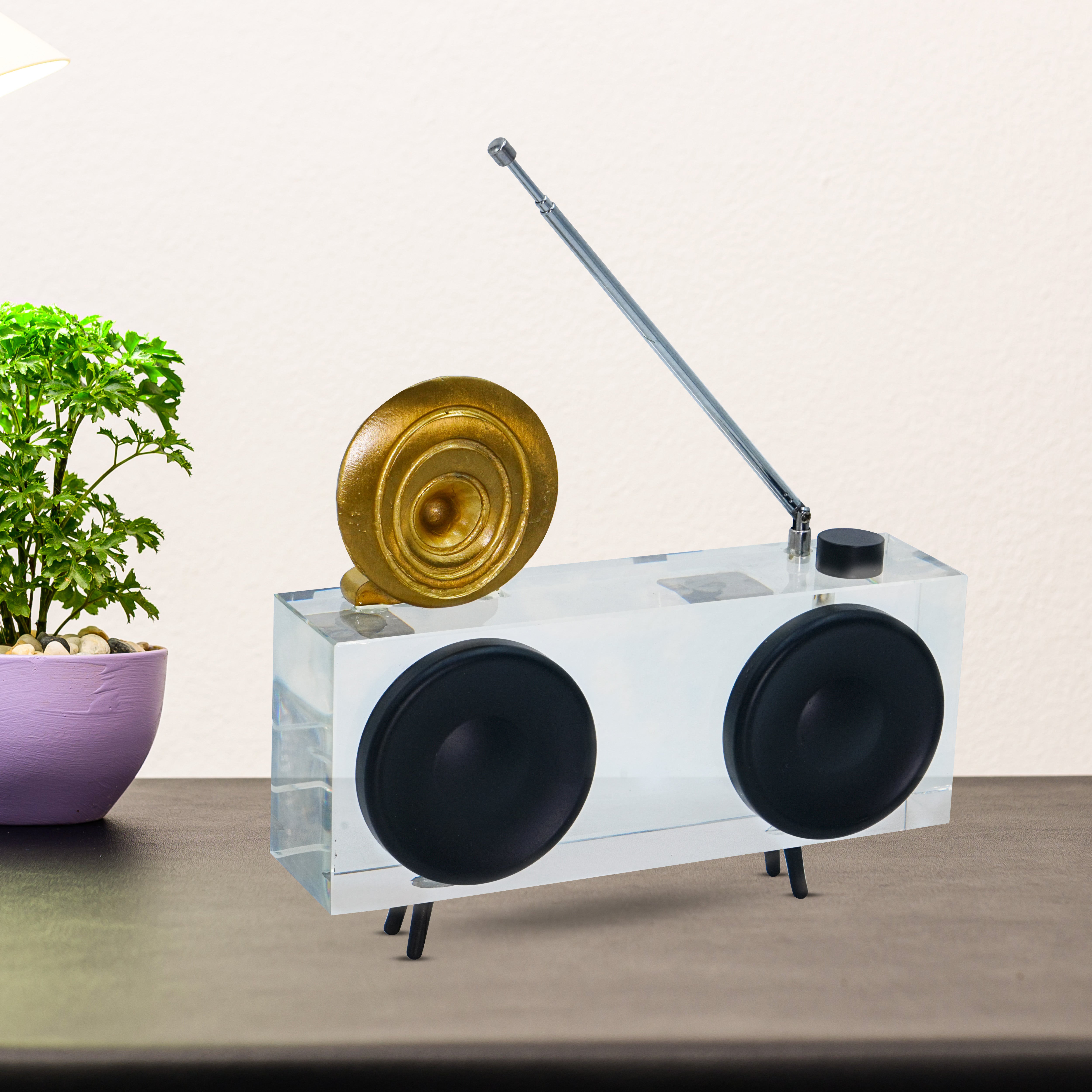 Premium quality Glass Radio