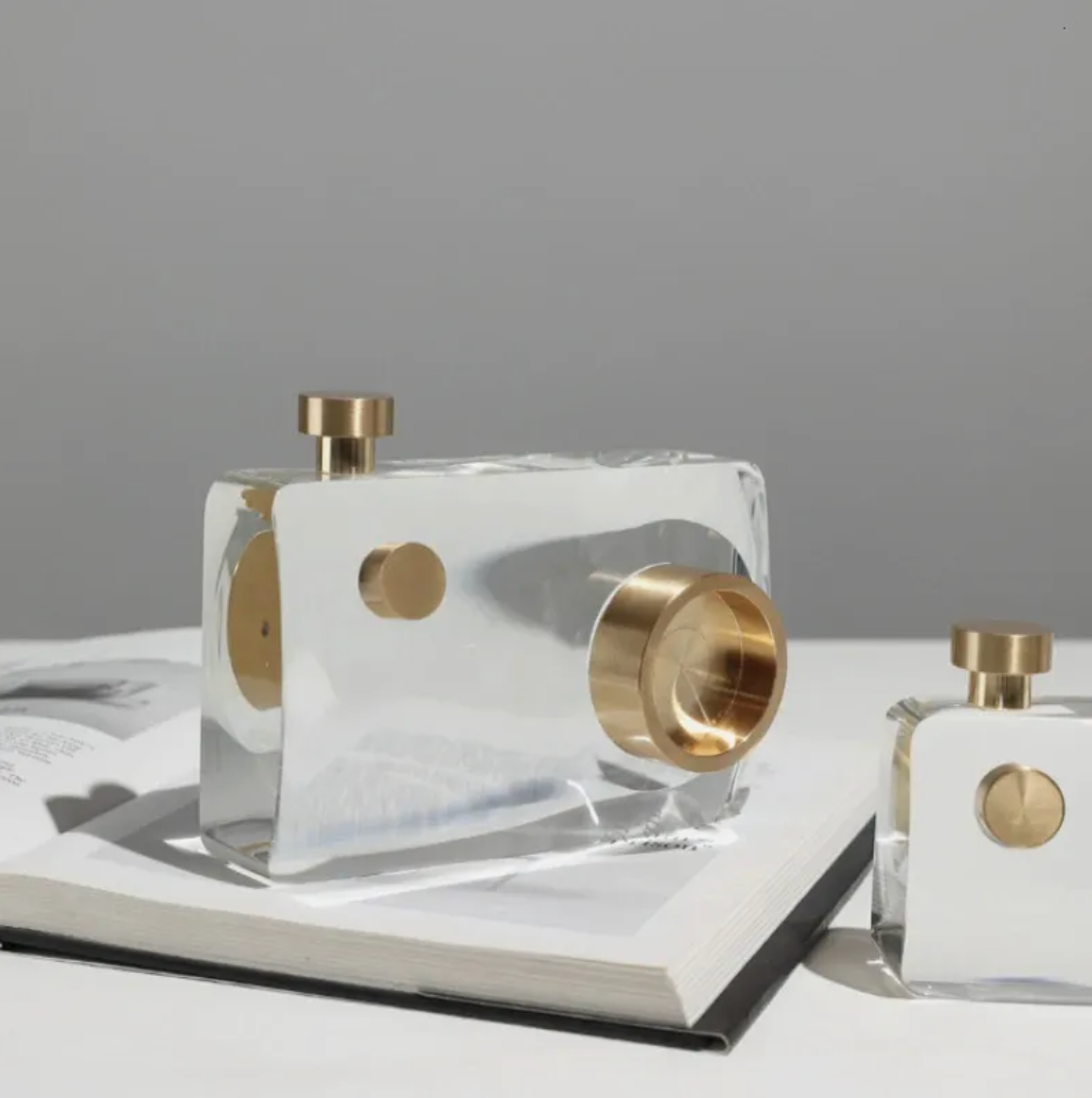 Premium Glass Camera Decor